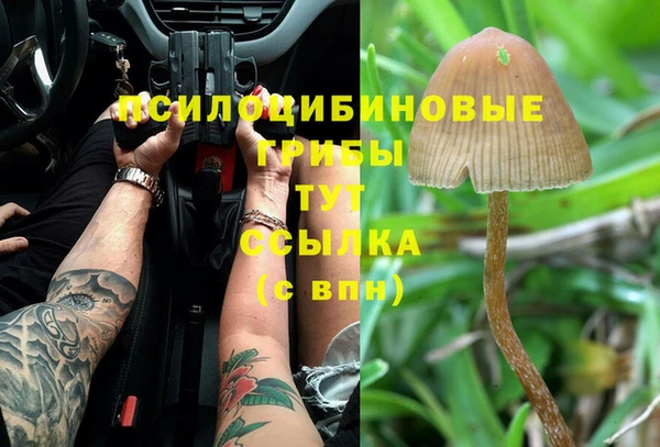 экстази Михайловка