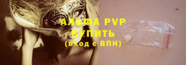 твердый Михайлов
