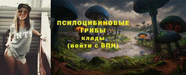 дмт Мегион