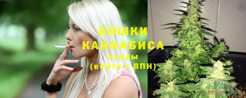 Канабис OG Kush  Новая Ляля 